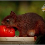 Péché de gourmandise