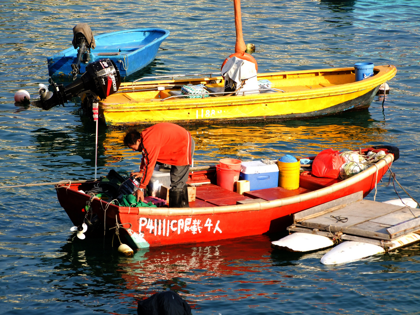 Pècheur à Stanley bay