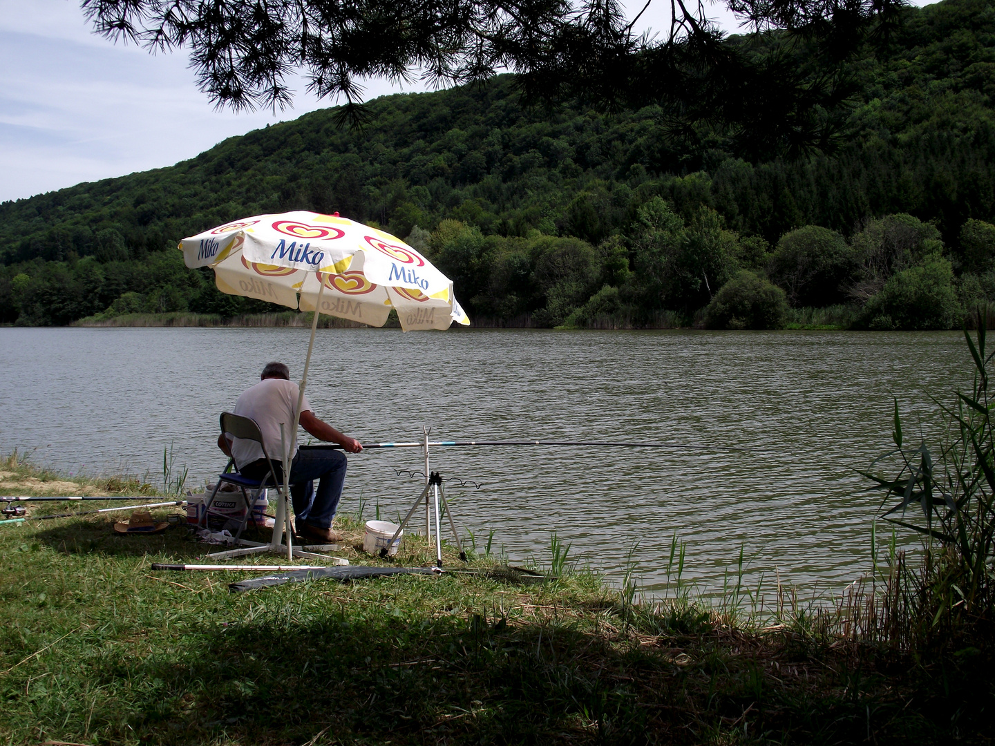 PECHEUR AU BORD DE L ETANG