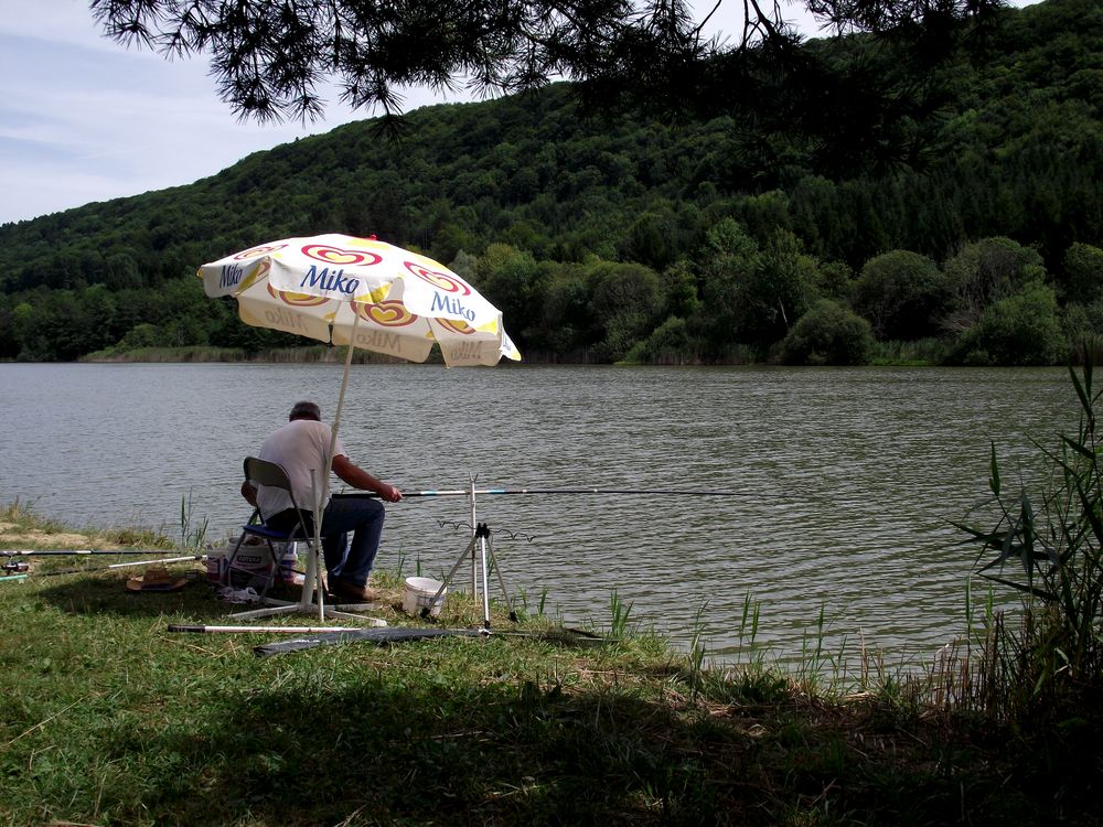 PECHEUR AU BORD DE L ETANG