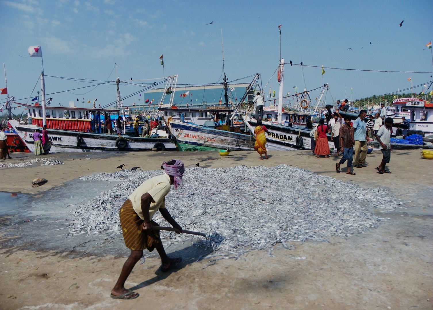 pecheur du kerala