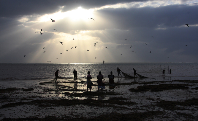 PECHEURS DE GAMBAS A MALINDI