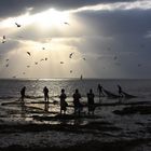 PECHEURS DE GAMBAS A MALINDI