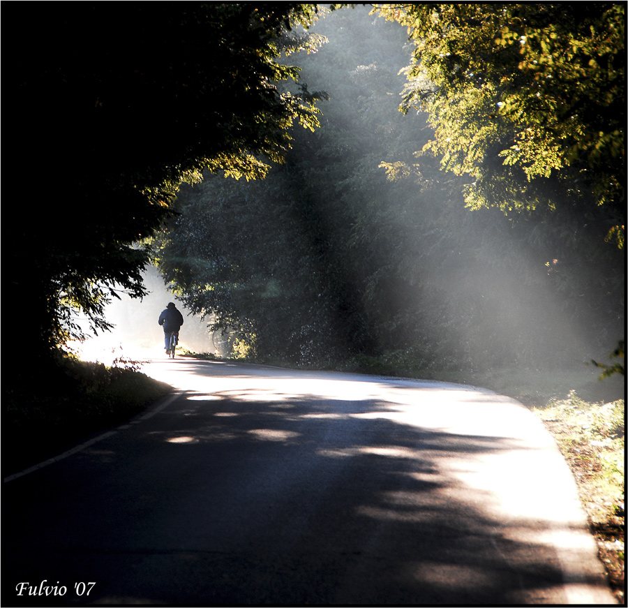 Pedalando