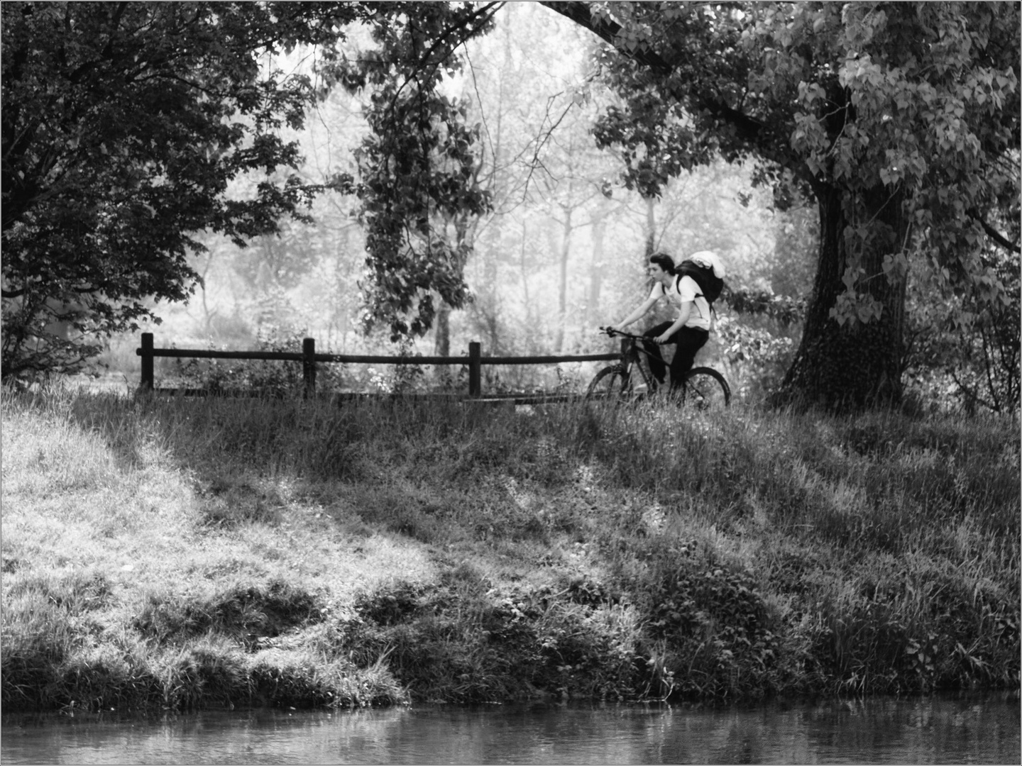 Pedalando lungo il fiume.