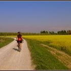 ..Pedalando lungo la Piave vecchia...