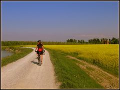 ..Pedalando lungo la Piave vecchia...