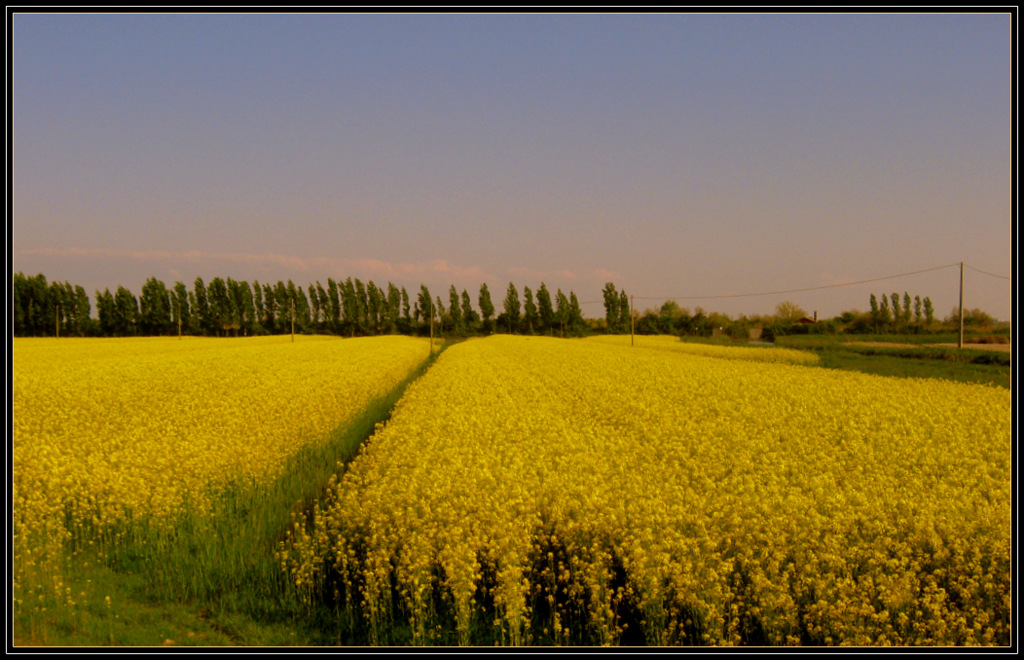 Pedalando lungo la Piave vecchia...2