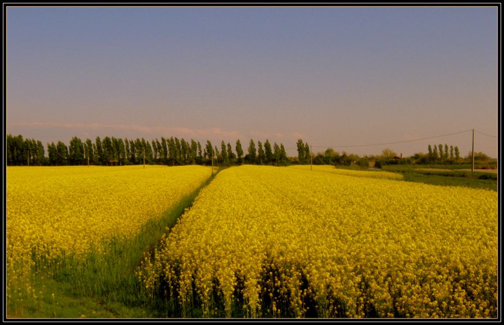 Pedalando lungo la Piave vecchia...2