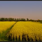 Pedalando lungo la Piave vecchia...2