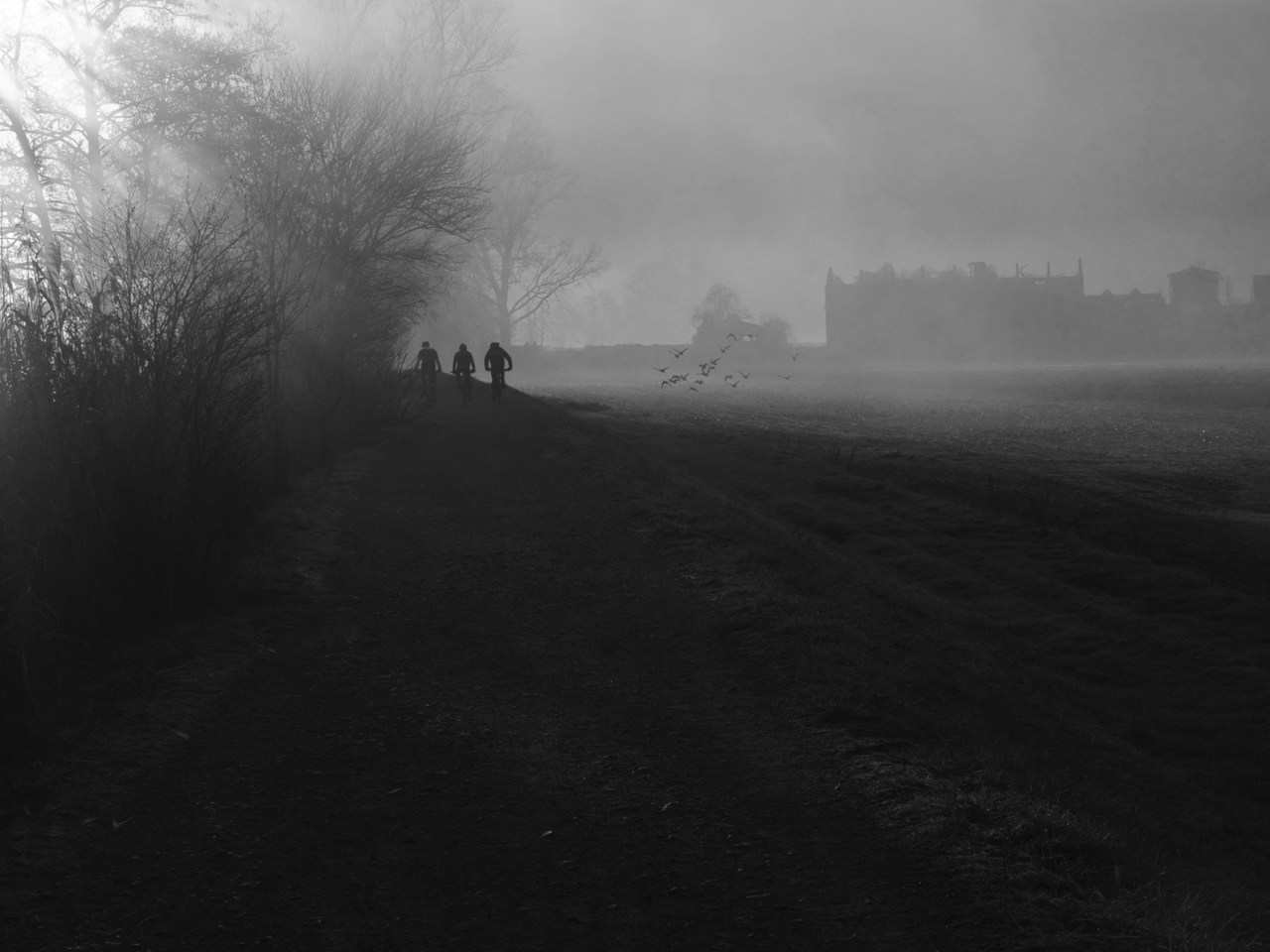 pedalando lungo l'Adda