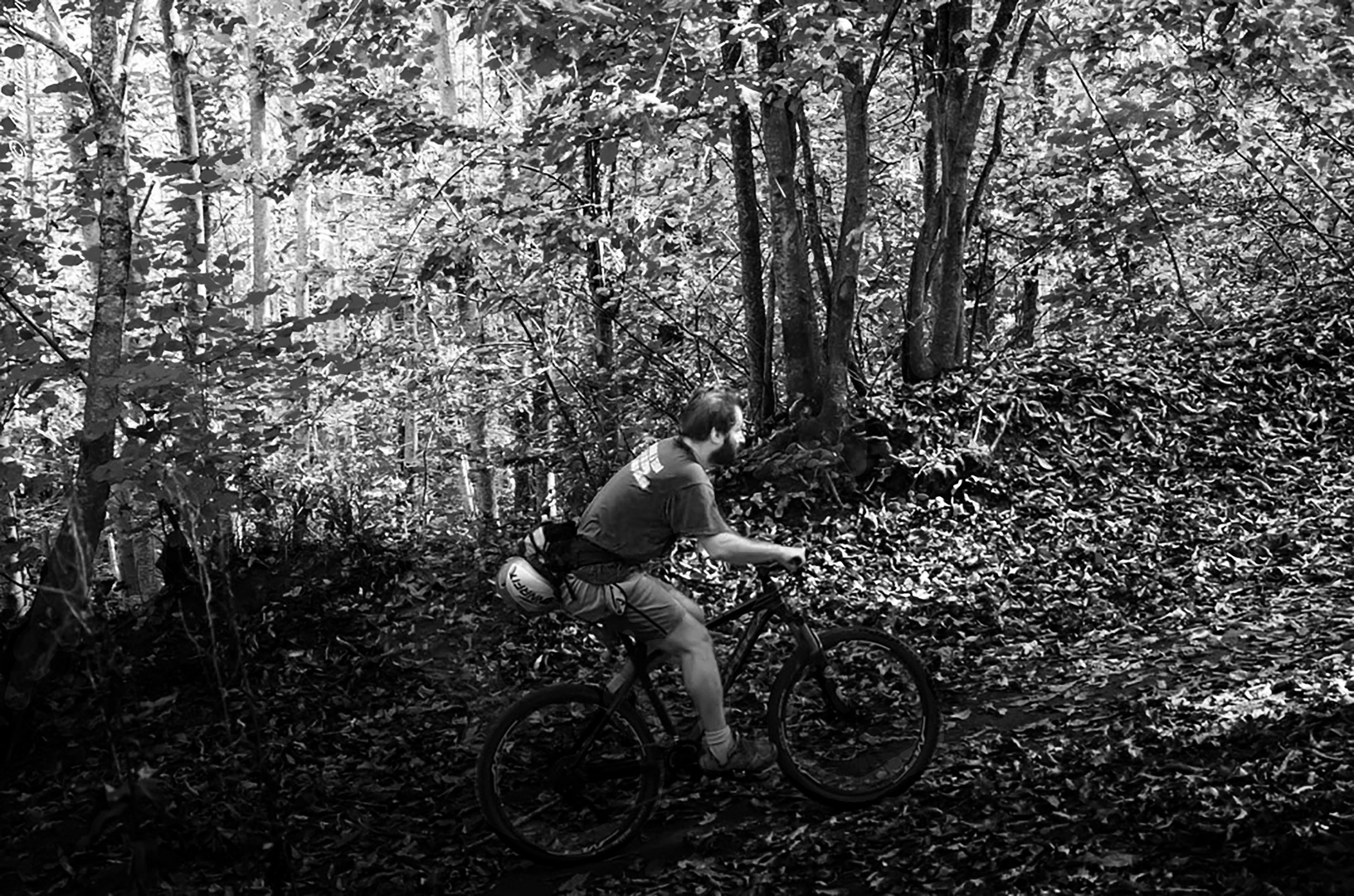 Pedalando nel bosco