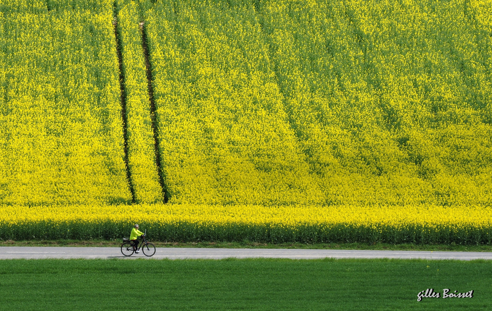 pédaler dans le printemps