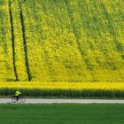 pédaler dans le printemps