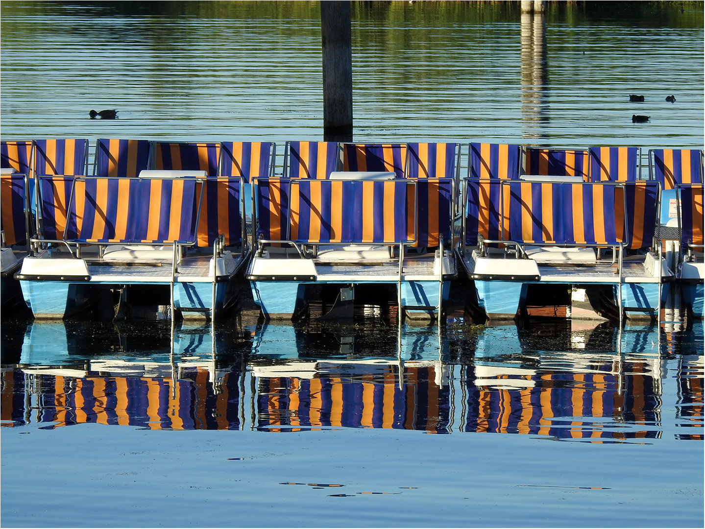 Pedalos