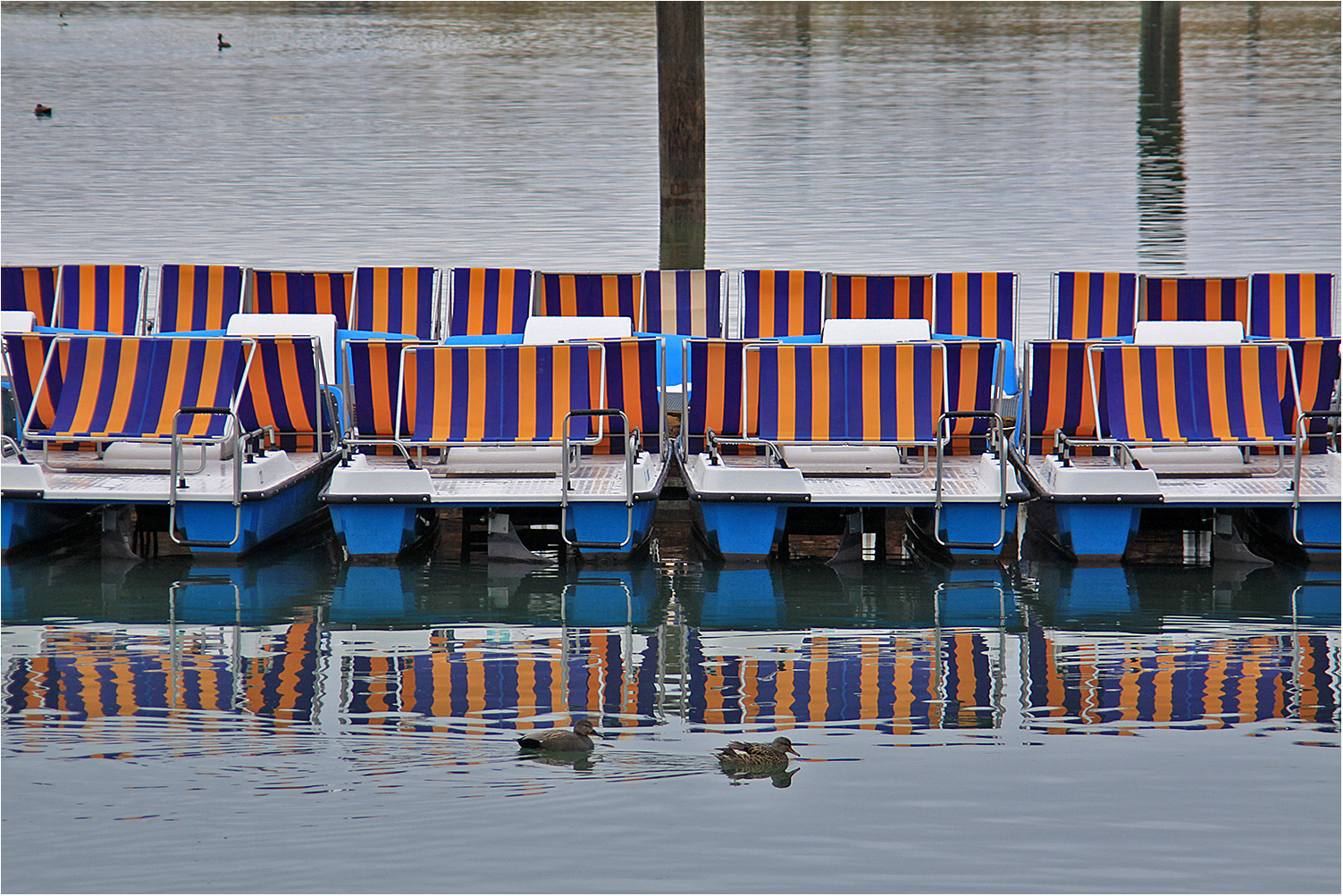 Pedalos