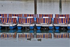 Pedalos