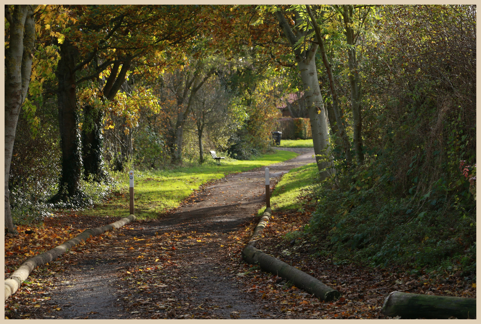 Peddars lane Norham