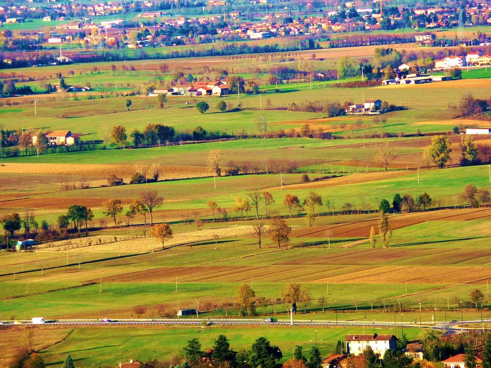 pedecollina reggiana