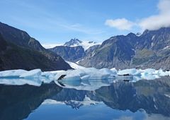 Pedersen Gletscher im Kenai - Fjord