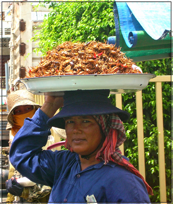 Pedlar woman in Cambodia