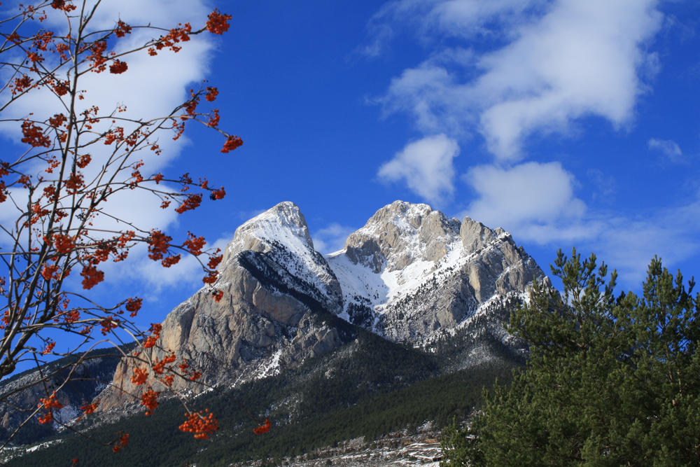 PEDRAFORCA