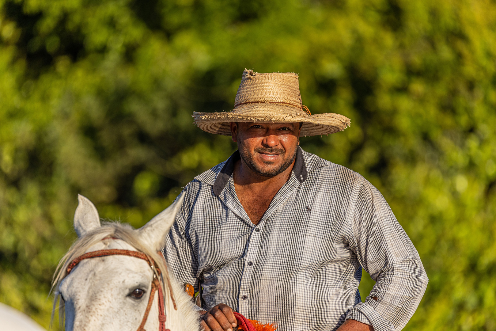 Pedro, Chefgaucho