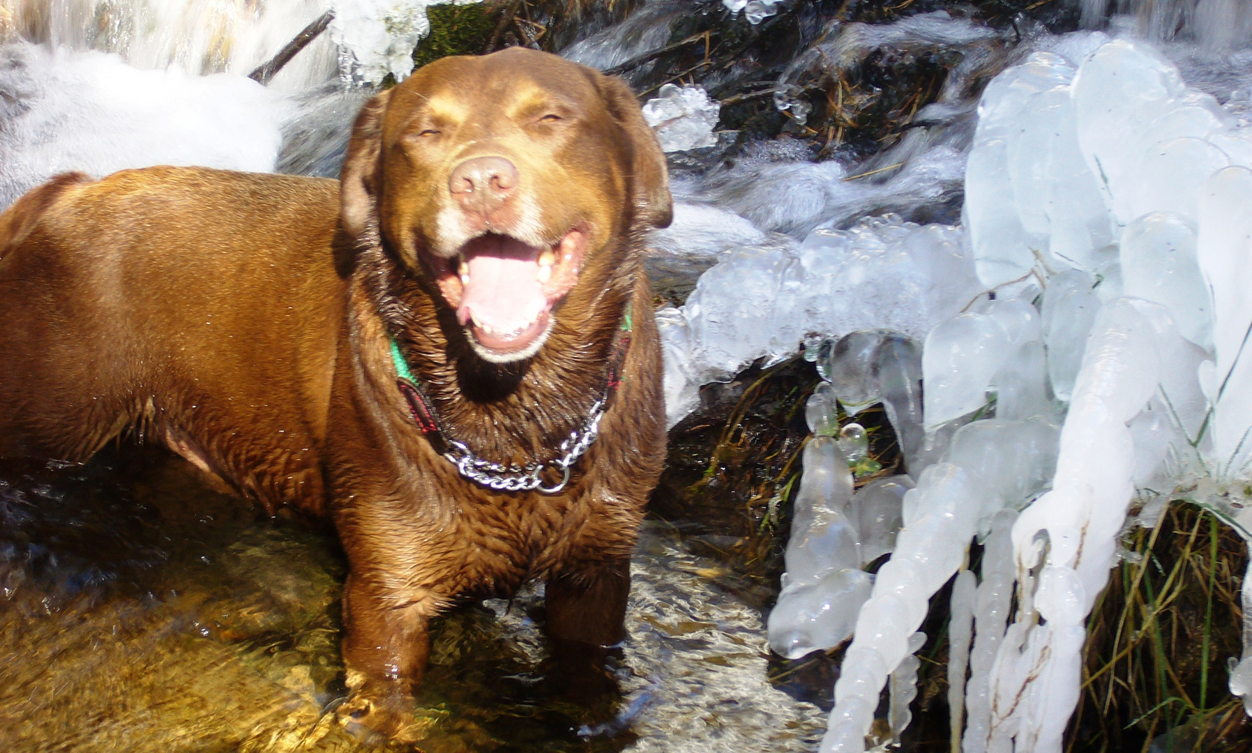 pedro e l'acqua