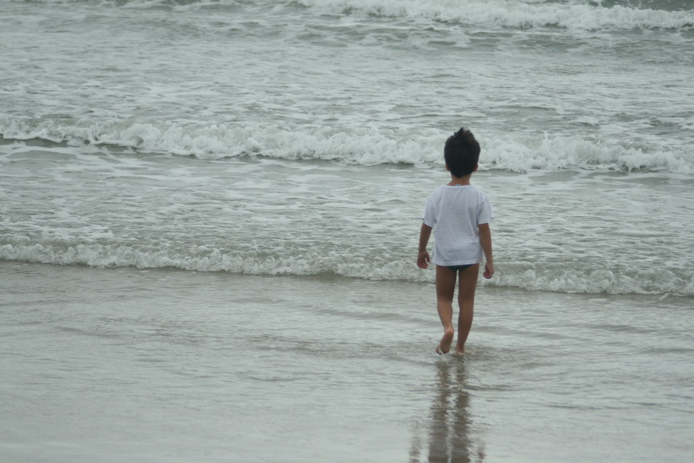 Pedro on the beach