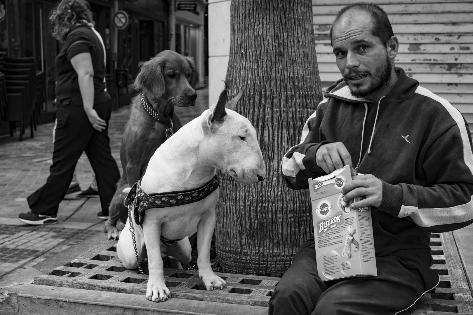 PEDRO WITH HIS TWO DOGS