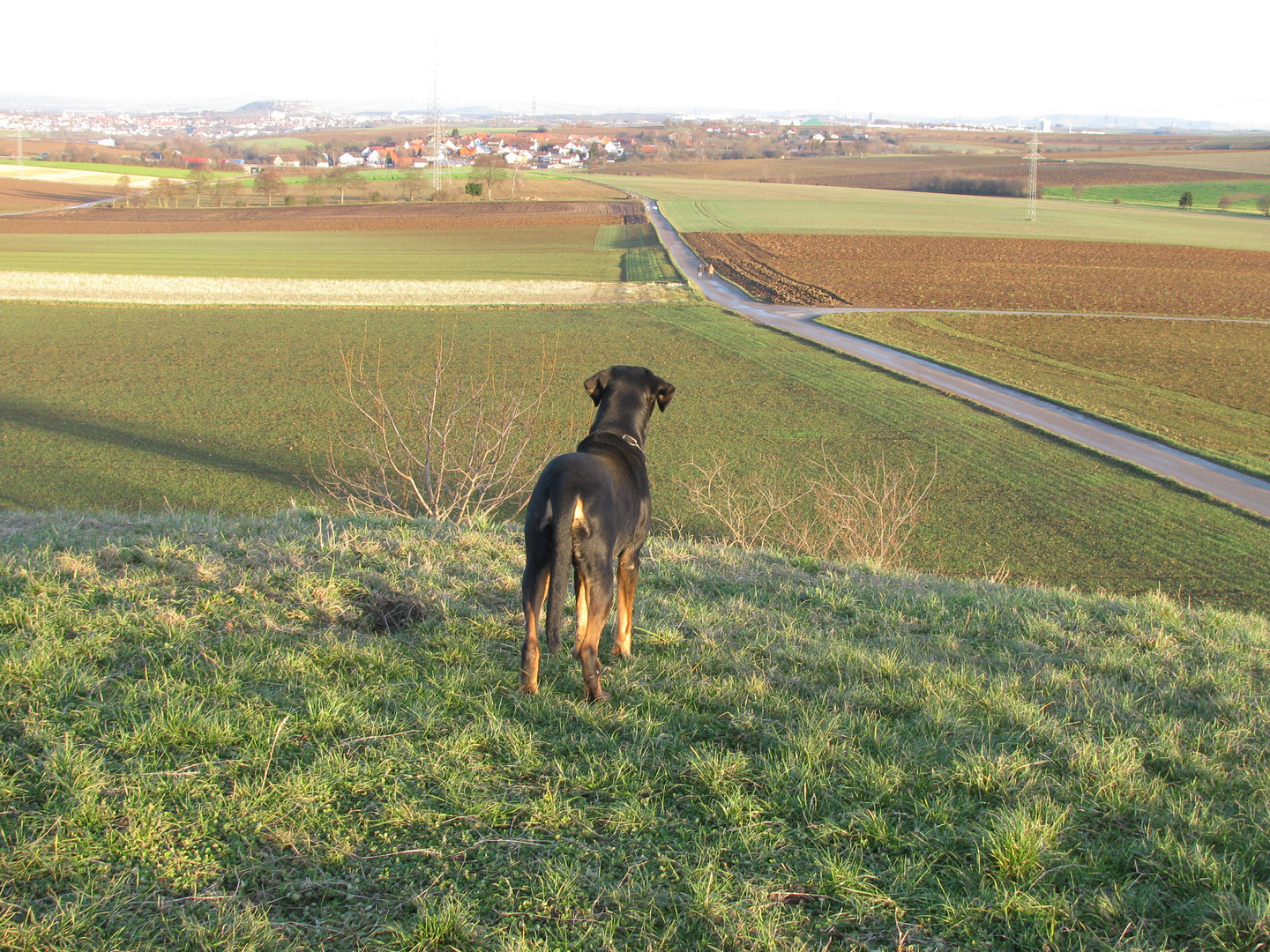 Pedros Blick in die Ferne