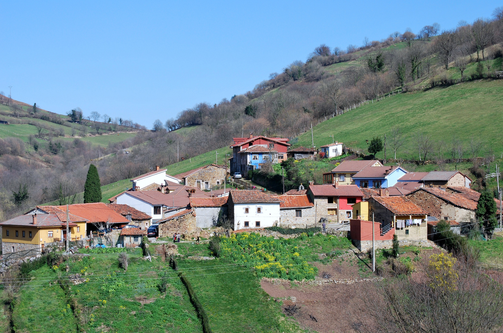 pedroveya (asturias)