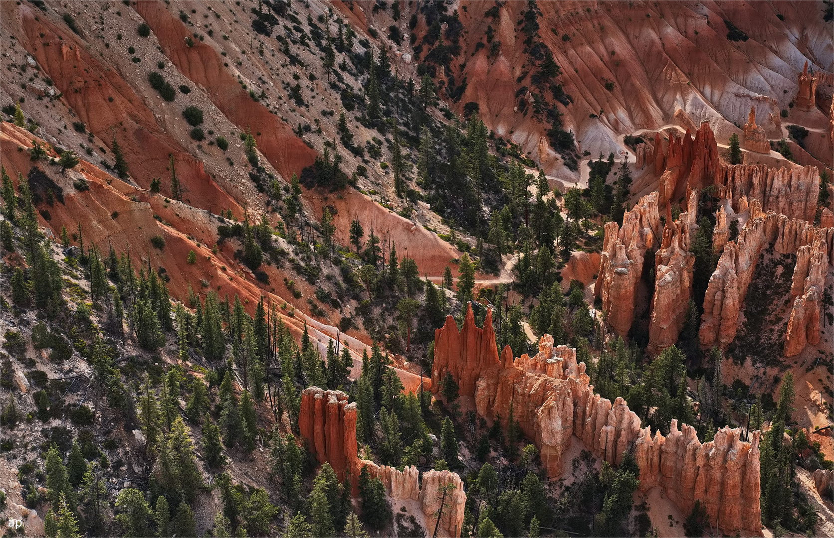 Peek -a- boo loop trail