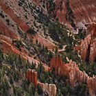 Peek -a- boo loop trail