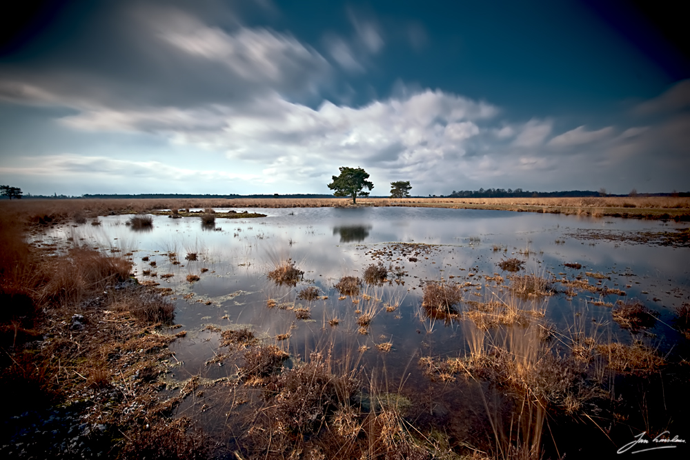 Peel landscape