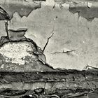 Peeling Paint