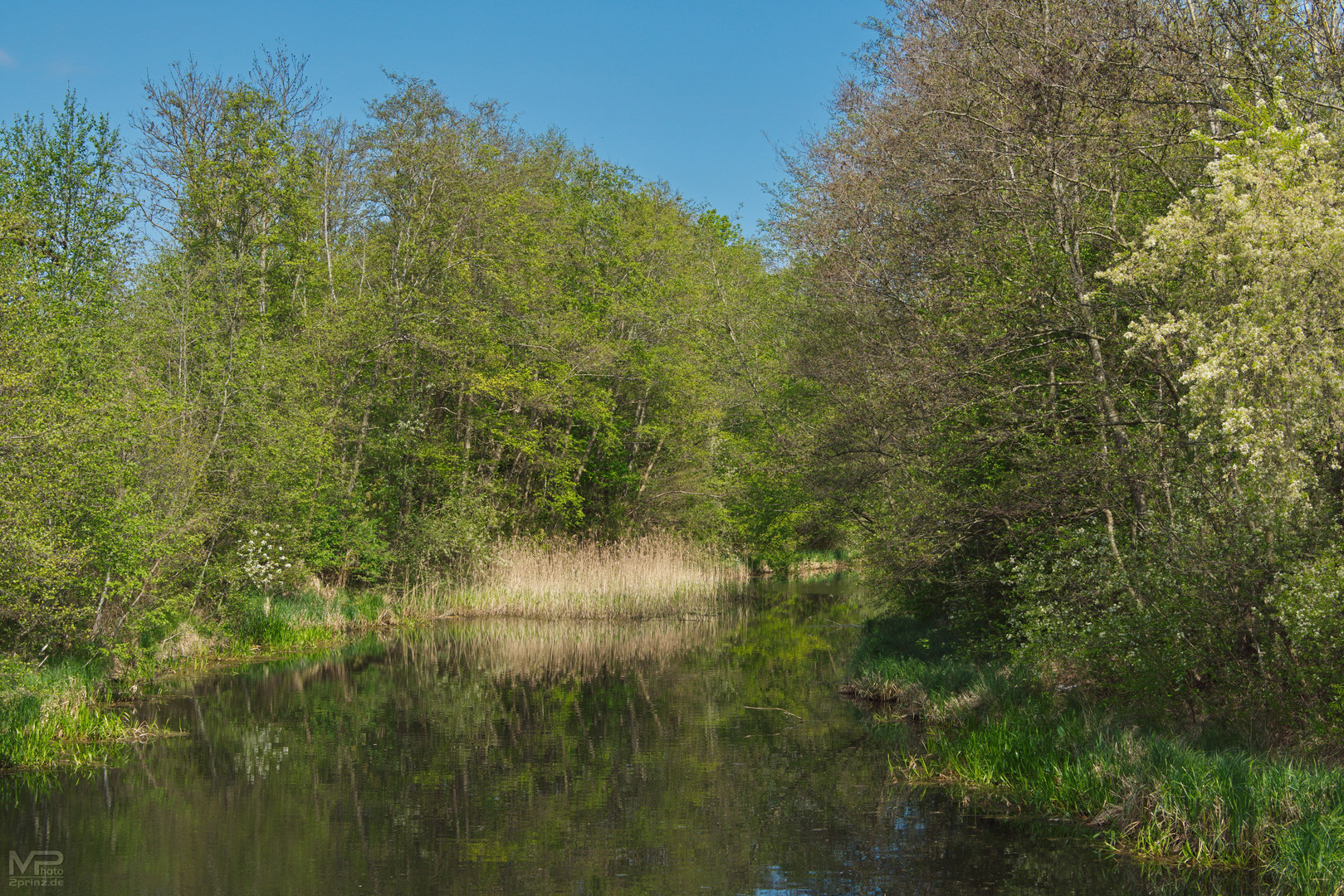 Peene Südkanal