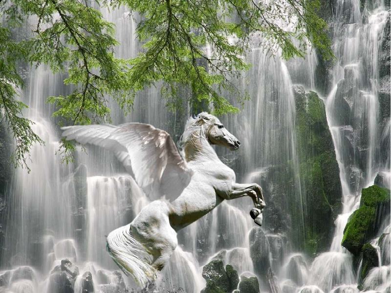 Pegasus