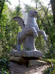 Pegasus