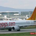 Pegasus Airlines