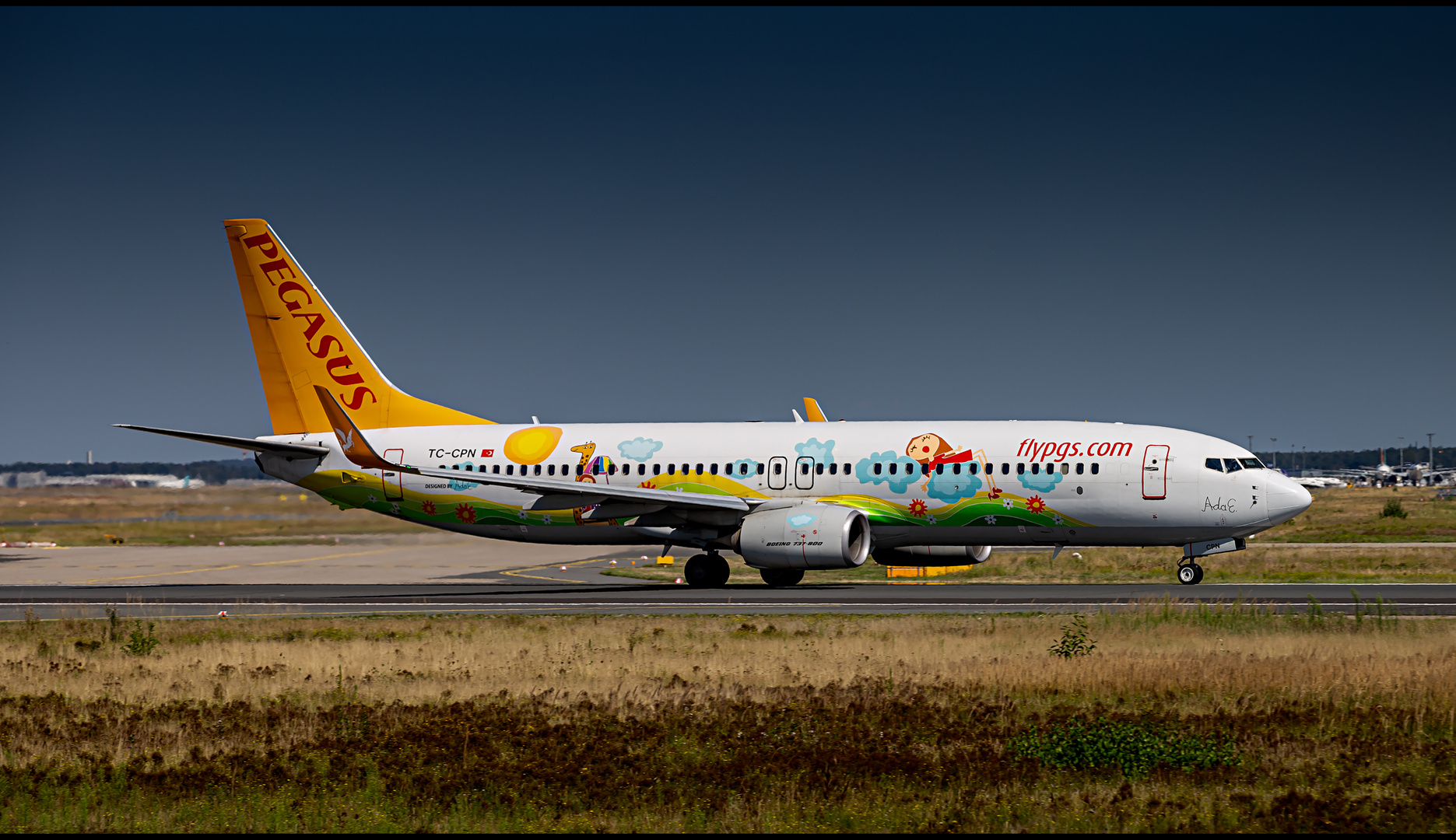 Pegasus Airlines (Ada E. Livery), Boeing 737-82R