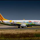 Pegasus Airlines (Ada E. Livery), Boeing 737-82R