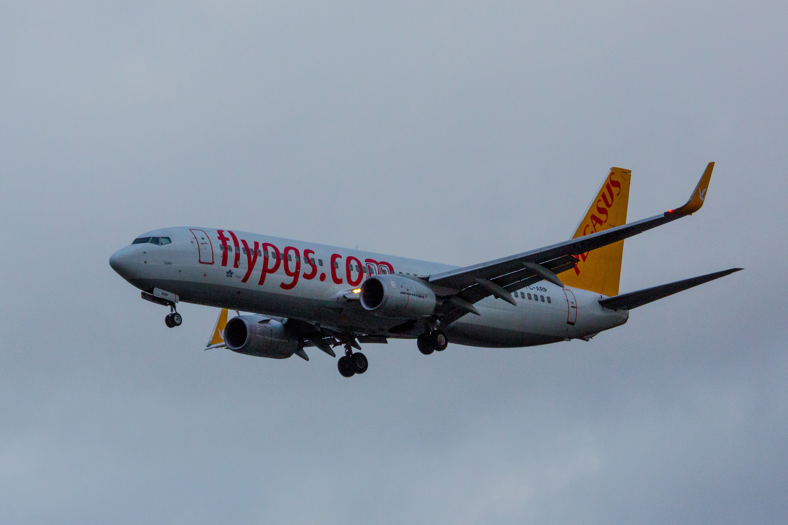 Pegasus Airlines - Boeing 737-800