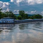 Pegasus auf dem Neckar