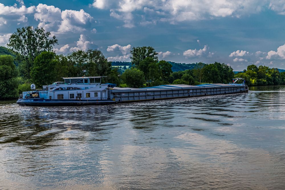 Pegasus auf dem Neckar