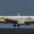 Pegasus B737-800 - Kennung TC-CPN 