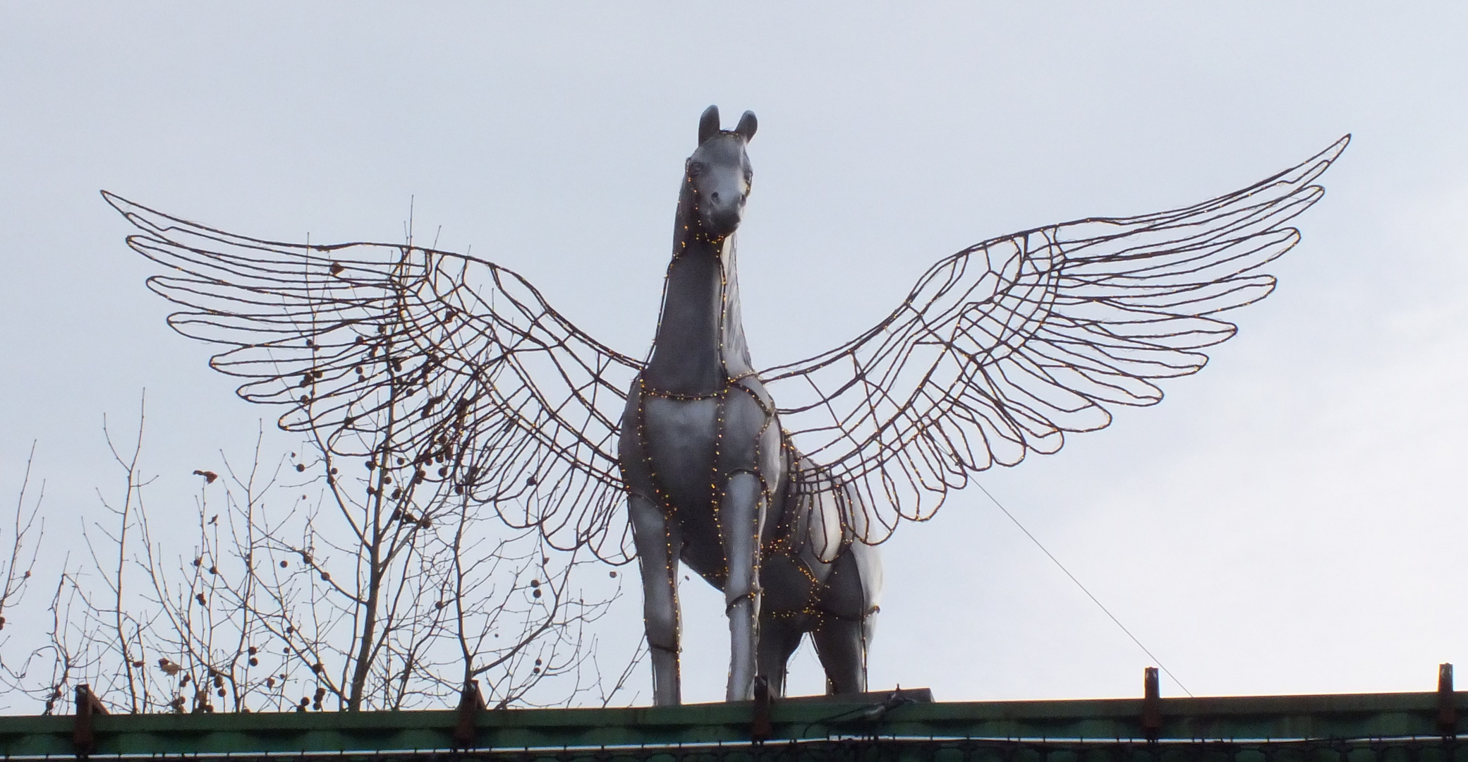 Pegasus