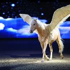 Pegasus