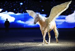 Pegasus