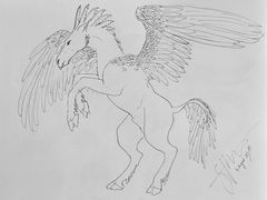 Pegasus